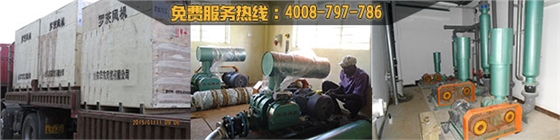 【環(huán)?！可綎|曝氣風(fēng)機廠家哪家好？