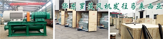 馬來西亞hume cement有限公司水泥項(xiàng)目羅茨風(fēng)機(jī)發(fā)貨現(xiàn)場 馬來西亞hume cement有限公司水泥項(xiàng)目羅茨風(fēng)機(jī)發(fā)貨現(xiàn)場