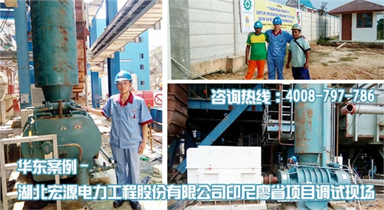宏源電力印尼廖省項目HDGR450羅茨風(fēng)機安裝調(diào)試現(xiàn)場 宏源電力印尼廖省項目HDGR450羅茨風(fēng)機安裝調(diào)試現(xiàn)場