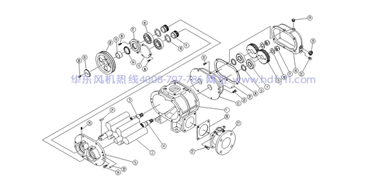 解剖圖2.jpg 解剖圖2.jpg