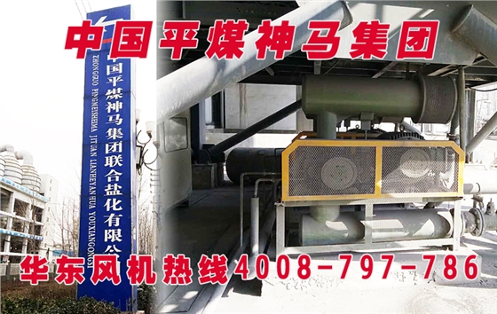 密集型羅茨鼓風機 密集型羅茨鼓風機