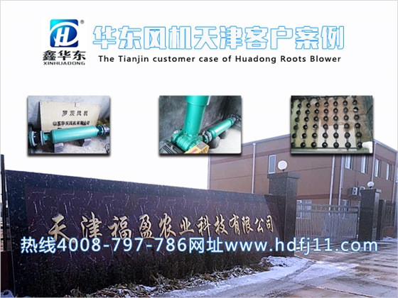 天津福盈農(nóng)業(yè)科技案例.jpg 天津福盈農(nóng)業(yè)科技案例.jpg