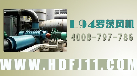 L94羅茨鼓風機參數(shù)文字版.jpg L94羅茨鼓風機參數(shù)文字版.jpg