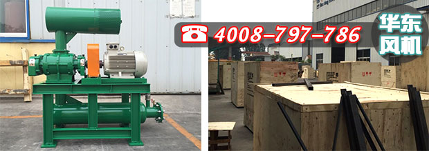 馬來西亞密集型羅茨風機與包裝 馬來西亞密集型羅茨風機與包裝