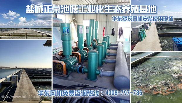 華東羅茨式增氧機(jī) 華東羅茨式增氧機(jī)