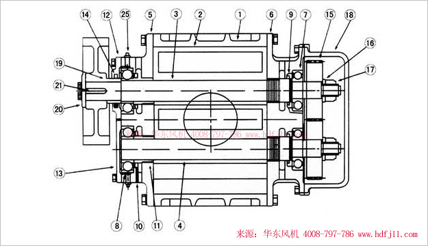 三葉羅茨風(fēng)機(jī)內(nèi)部結(jié)構(gòu)圖-縱切圖.jpg 三葉羅茨風(fēng)機(jī)內(nèi)部結(jié)構(gòu)圖-縱切圖.jpg