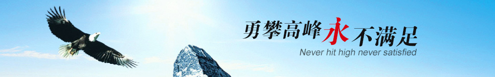 臺灣春鼎羅茨風機 臺灣春鼎羅茨風機