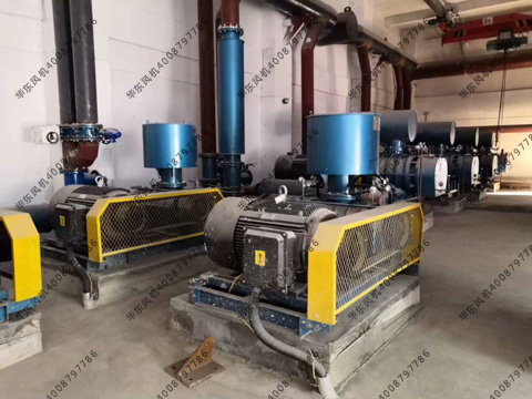 三葉羅茨風(fēng)機(jī)振動(dòng)值 三葉羅茨風(fēng)機(jī)振動(dòng)值