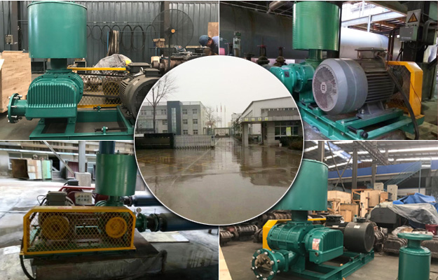 三葉羅茨風機 三葉羅茨風機