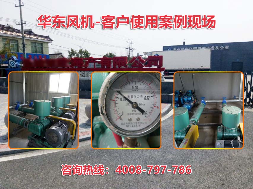 三葉羅茨風(fēng)機(jī) 三葉羅茨風(fēng)機(jī)