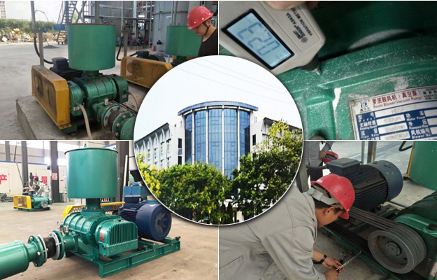 羅茨風機 羅茨風機