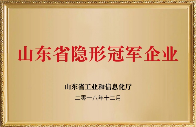 華東榮譽-山東隱形冠軍企業(yè)