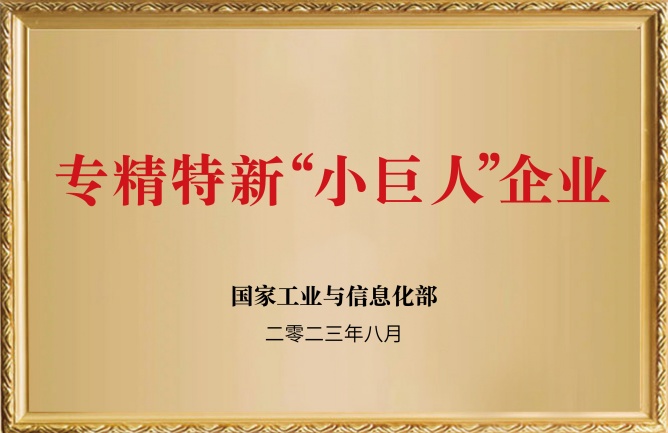 華東榮譽(yù)-專(zhuān)精特新小巨人企業(yè)